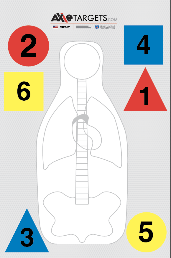 Full-color FBI QIT-99 paper target with internal anatomy outline and numbered circles, squares and triangles