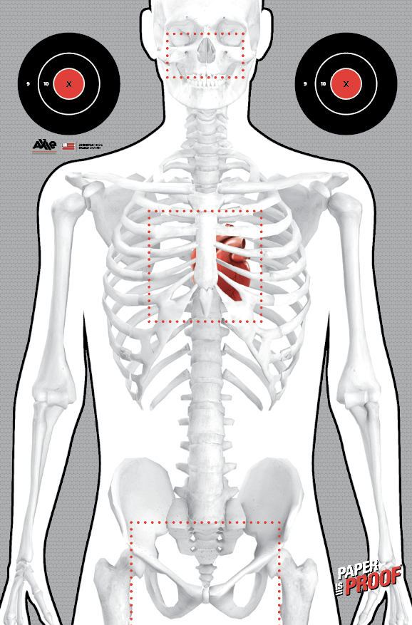 Red Skeleton shooting target with white skeletal anatomy, red heart, two black B-8 bullseyes at the top corners