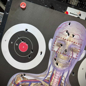 1Anatomy Target TEST PDP 1