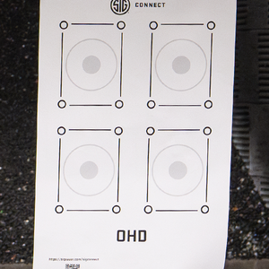 4-Bullseye OHD Target