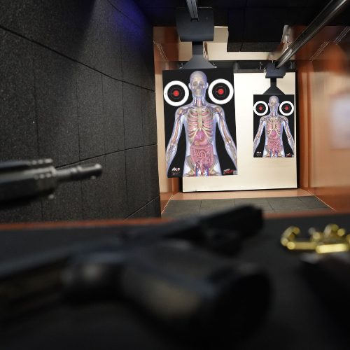 1Anatomy Target TEST PDP 1