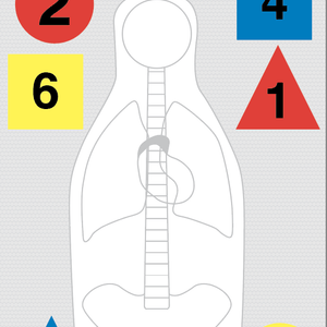 FBI QIT-99 training target with numbered shapes.