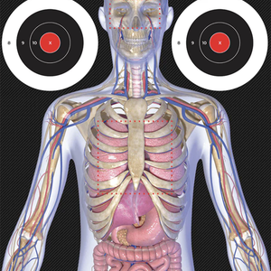 Anatomy Target TEST PDP