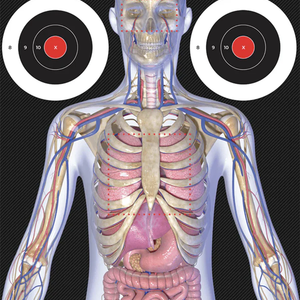 1Anatomy Target TEST PDP 1
