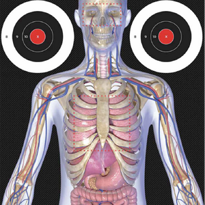 Anatomy Target