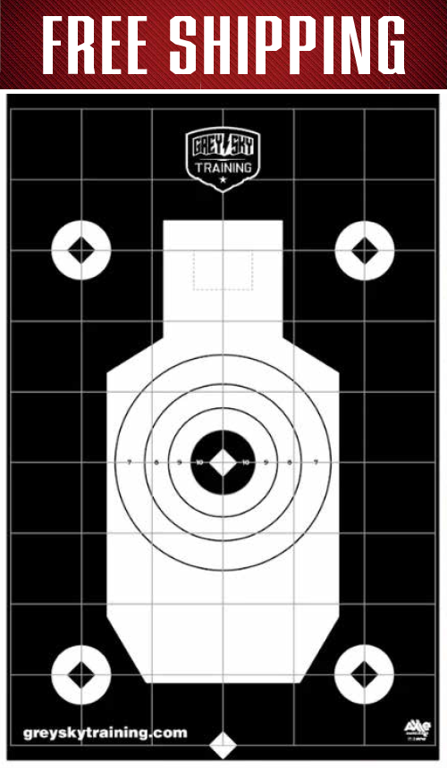 Grey Sky Training Target