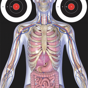 Anatomy target practice showing human anatomy