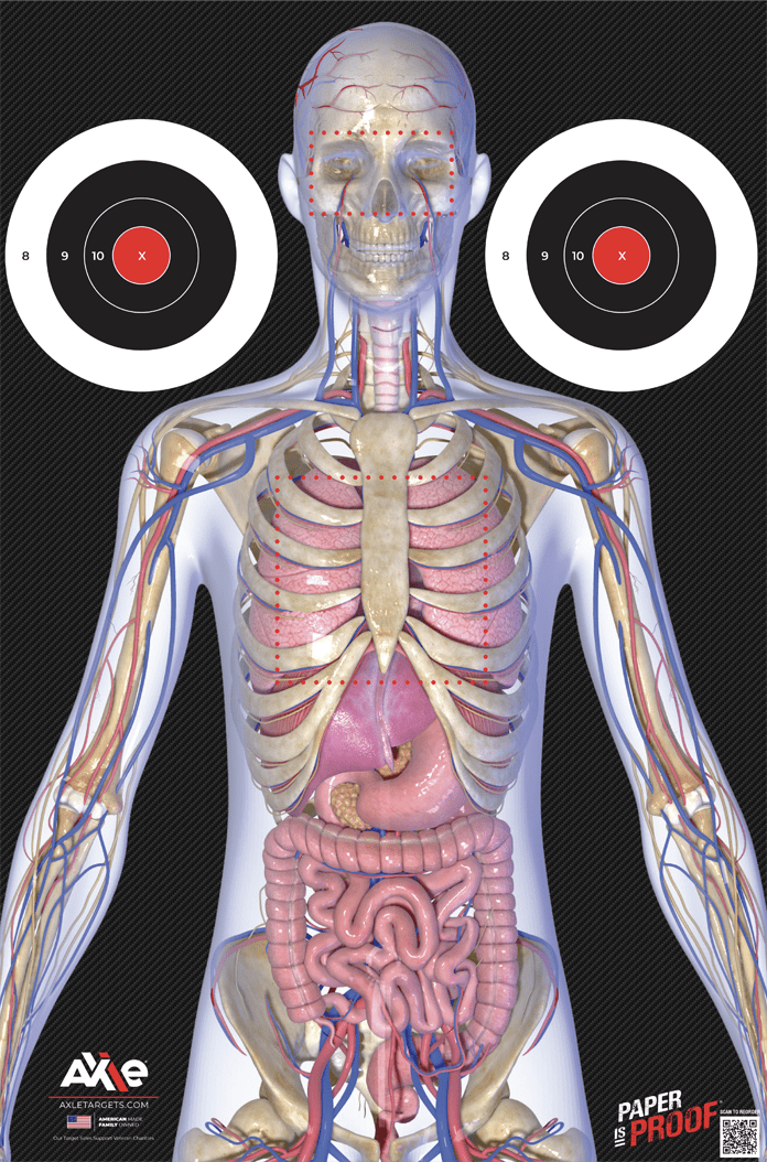 Anatomy target practice showing human anatomy