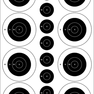 Shooting targets with black and white bullseyes.