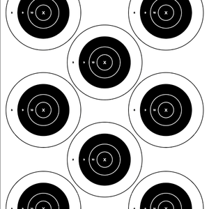 Shooting target with multiple bullseyes